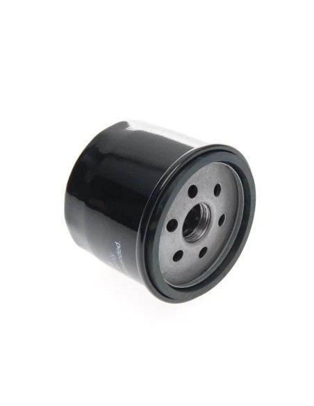 Filtre à huile BRIGGS & STRATTON - KOHLER 492056 - 492932 - 696854 - 795137 - 4300408 | Modèle court pas cher