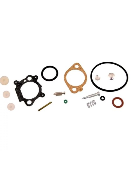 Kit réparation carburateur BRIGGS & STRATTON - 493762 - 498260 | Pas cher